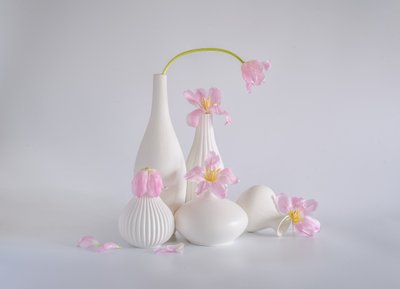  de Alice Sheng