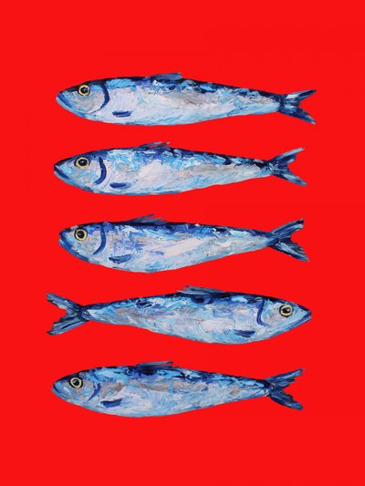 Sardinhas Azuis Ousadas de Alice Straker