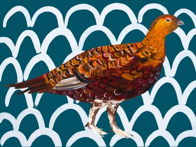 Padrão de perdiz-vermelho e marreca de Alice Straker