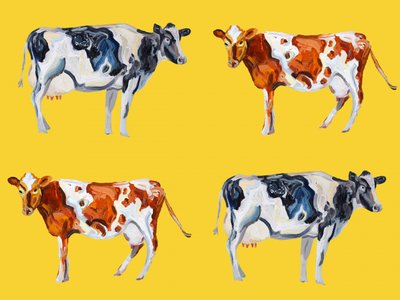 Vacas malhadas de Alice Straker