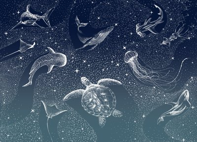 Vida marinha celestial de Alirıza ÇAKIR