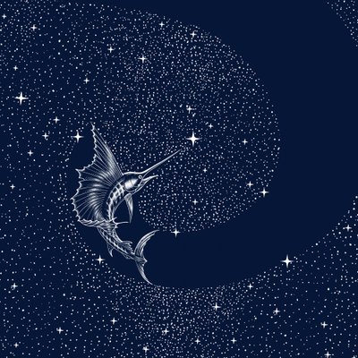 Peixe-vela celestial de Alirıza ÇAKIR