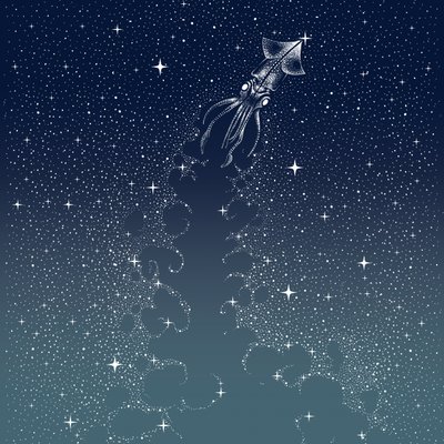 O Voo da Lula Celestial de Alirıza ÇAKIR