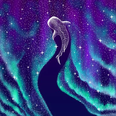 Tubarão-baleia celestial de Alirıza ÇAKIR