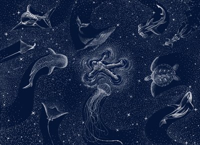 Sonho do Oceano Cósmico de Alirıza ÇAKIR