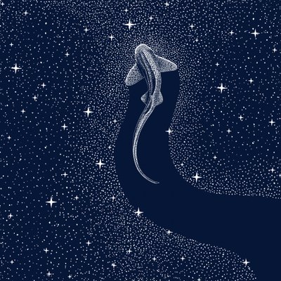 Tubarão Cósmico de Alirıza ÇAKIR