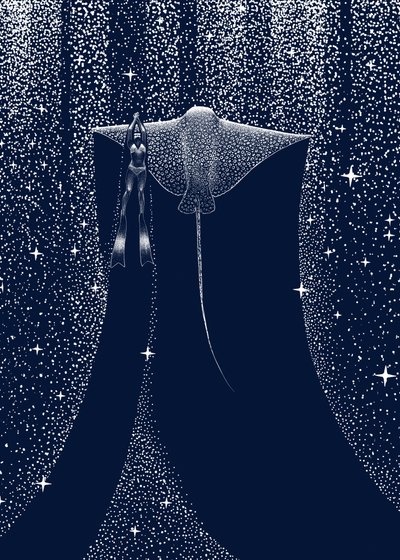 Companheiro do Raio Estrelado de Alirıza ÇAKIR