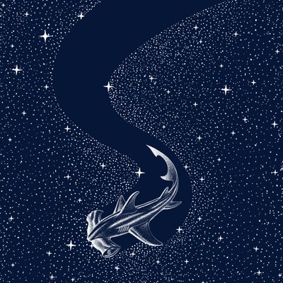 Tubarão-martelo-estrelado de Alirıza ÇAKIR