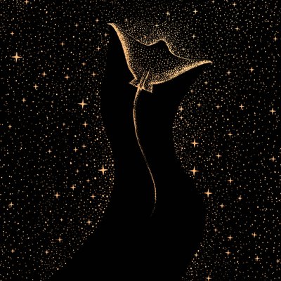 Raia-manta estrelada de Alirıza ÇAKIR