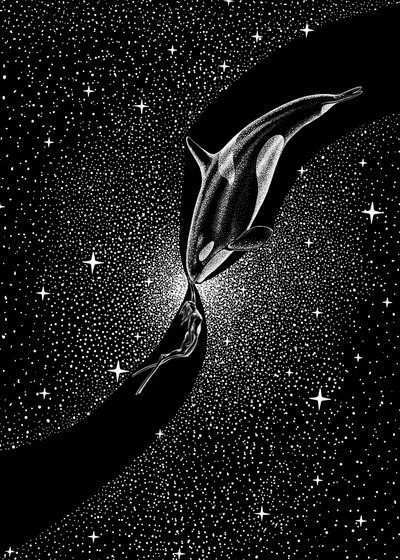 Abraço da Baleia Estrelada de Alirıza ÇAKIR