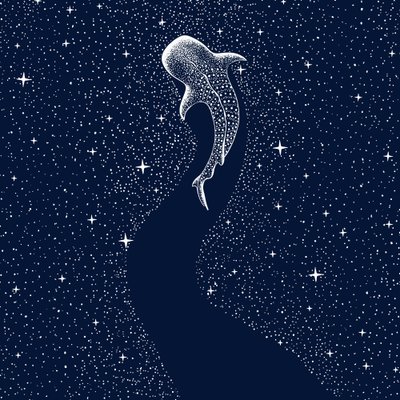 Tubarão-baleia-estrelado de Alirıza ÇAKIR