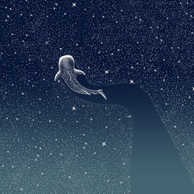 Galáxia do Tubarão-baleia de Alirıza ÇAKIR