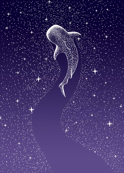 Natação com tubarões-baleia na Galáxia de Alirıza ÇAKIR