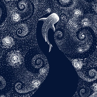 Tubarão-baleia no Oceano Estrelado de Alirıza ÇAKIR