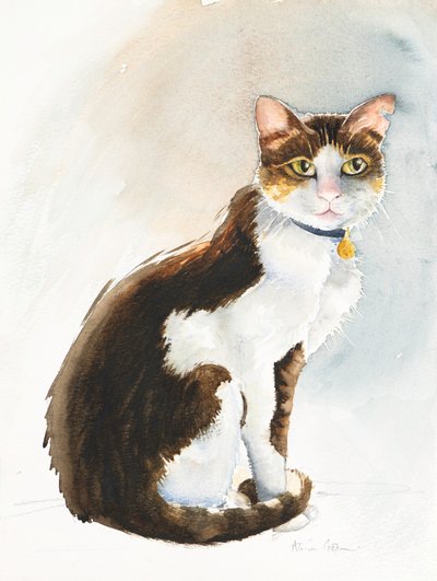 Dave the Saudi Cat, 2019 (aguarela) de Alison Cooper