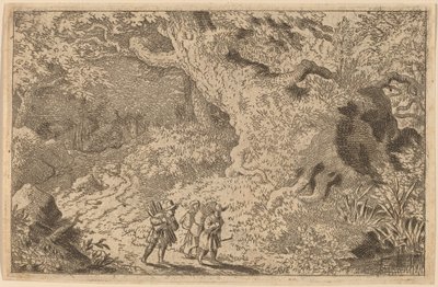 Uma floresta densa de Allart van Everdingen
