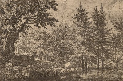 Abetos na Água, provavelmente c. 16451656. de Allart van Everdingen