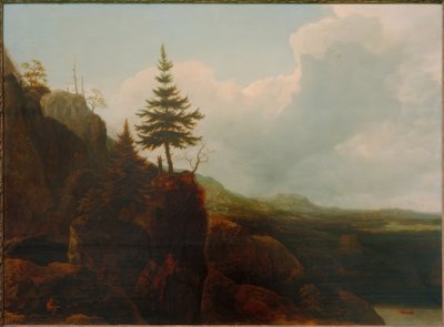 Paisagem de Montanha com Abeto de Allart van Everdingen
