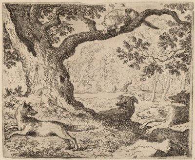 O Pai de Reynard e o Gato Perseguido por Cães de Caça, provavelmente c. 16451656. de Allart van Everdingen