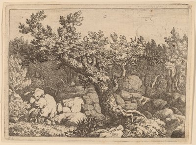 Desportista perto de uma grande árvore de Allart van Everdingen