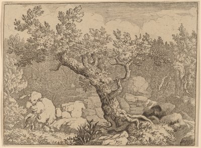 Desportista perto de uma grande árvore de Allart van Everdingen
