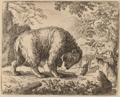 O Urso Distraído com Conversa de Mel, provavelmente c. 16451656. de Allart van Everdingen