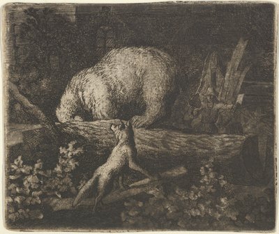 O urso com seu focinho e patas dianteiras preso no tronco de uma árvore, meados do século 17. de Allart van Everdingen