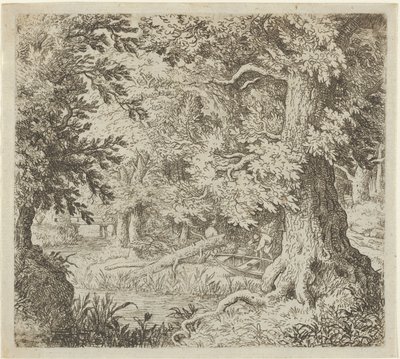 O riacho na madeira, século XVII. de Allart van Everdingen