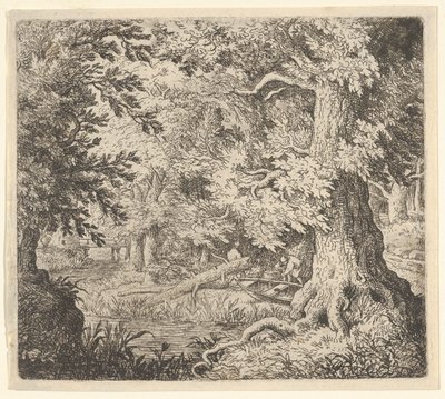 O riacho na madeira, século XVII. de Allart van Everdingen