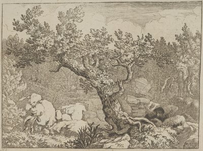 O Desportista perto da Grande Árvore, século XVII. de Allart van Everdingen