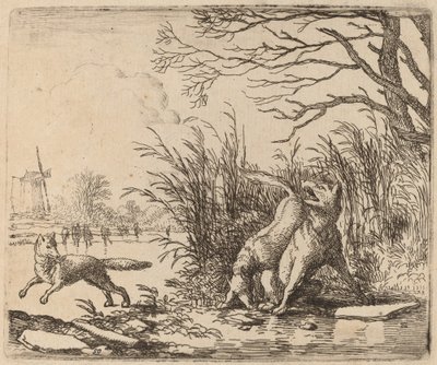Os Lobos no Gelo, provavelmente c. 16451656. de Allart van Everdingen