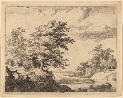 Rio sinuoso de Allart van Everdingen