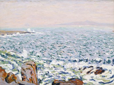 Surf Breaking, Cranberry Island de Allen Tucker