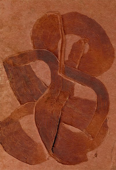 Curvas com textura terrosa de Alma