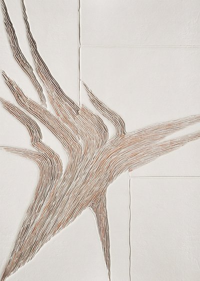 Linhas orgânicas fluidas de Alma