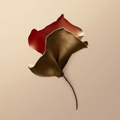 Forma de flor dobrada de Alma