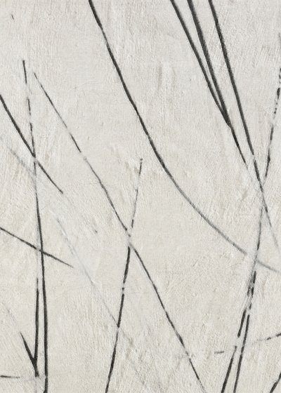 Textura de Linhas Orgânicas de Alma