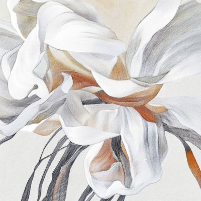 Abstrato floral suave de Alma