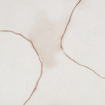 Formas suaves e fluidas de Alma