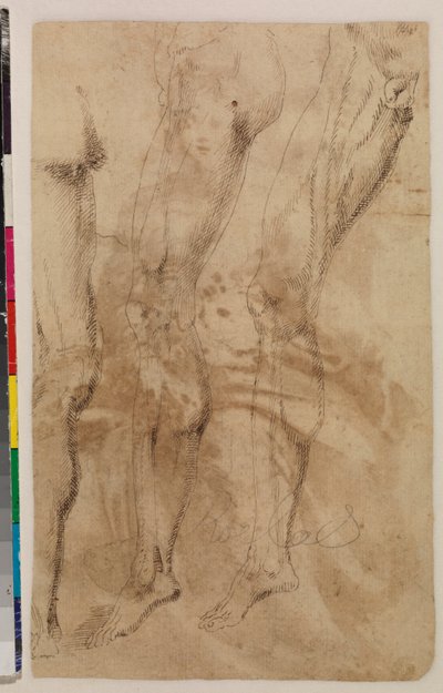 Três estudos de uma perna masculina (verso) c.1537 (caneta e tinta castanha sobre papel colocado) [ver 5948317]. de Alonso (workshop of) Berruguete