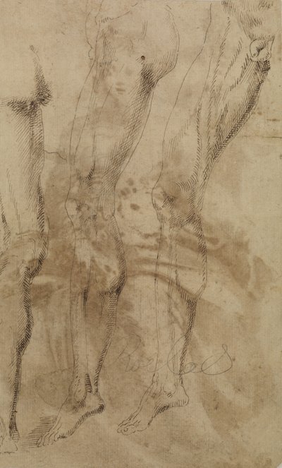 Três estudos de uma perna masculina, c.1637 de Alonso Berruguete
