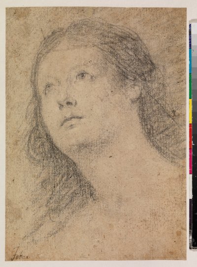Cabeça de uma mulher a olhar para cima (recto) de Alonso Miguel de Tovar