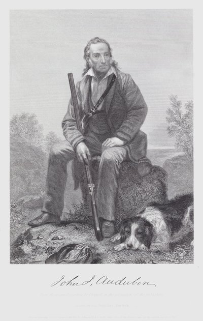 John James Audubon (gravura) de Alonzo (after) Chappel