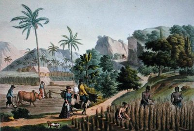 Ilha de Guam: Obras agrícolas, de 