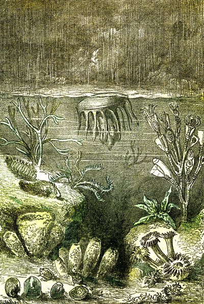 Pré-história-Terras e Mares: O início do período Siluriano (J. Rengade. Desenho de Demarle. 1885 de Alphonse Demarle