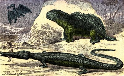 Pré-história - Período Jurássico: O Teleosaur e o Hyleosaur. O Pterodáctilo lá em cima. A criação natural e os seres vivos. Desenho de A. Demarle. 1885 de Alphonse Demarle