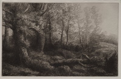 Um estudo da floresta de Alphonse Legros