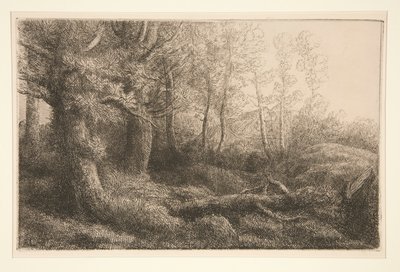 Um estudo da floresta de Alphonse Legros
