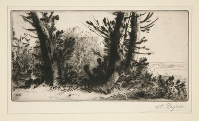 Um campeão de travessias (Across Country) de Alphonse Legros