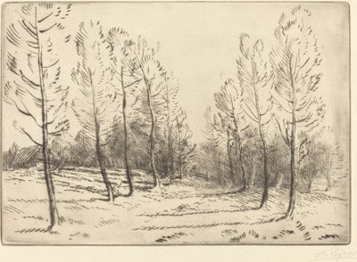 Avenida dos Choupos de Alphonse Legros